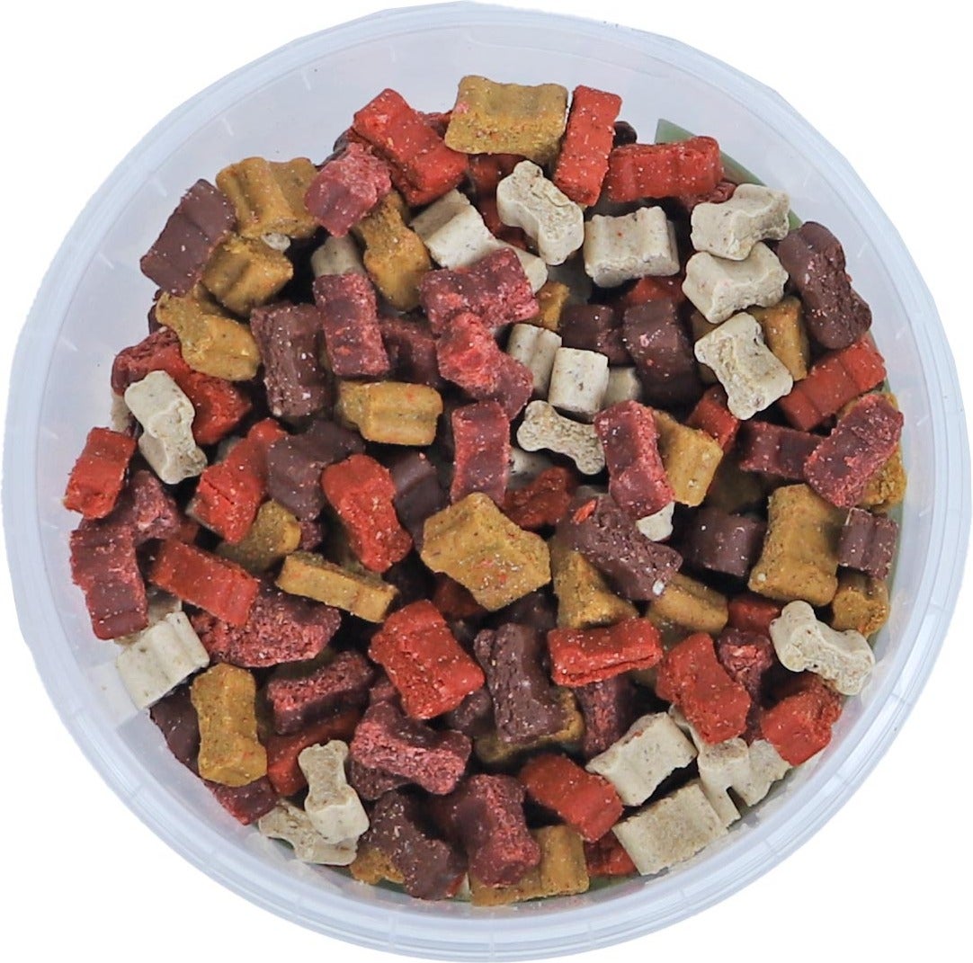 Boony hondensnoepjes Trainers mini botjes 500 g