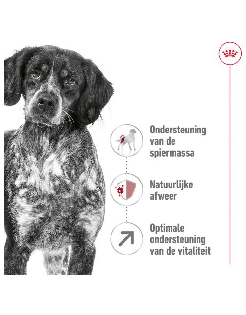Royal Canin Medium Adult 7+ - Hondenvoer