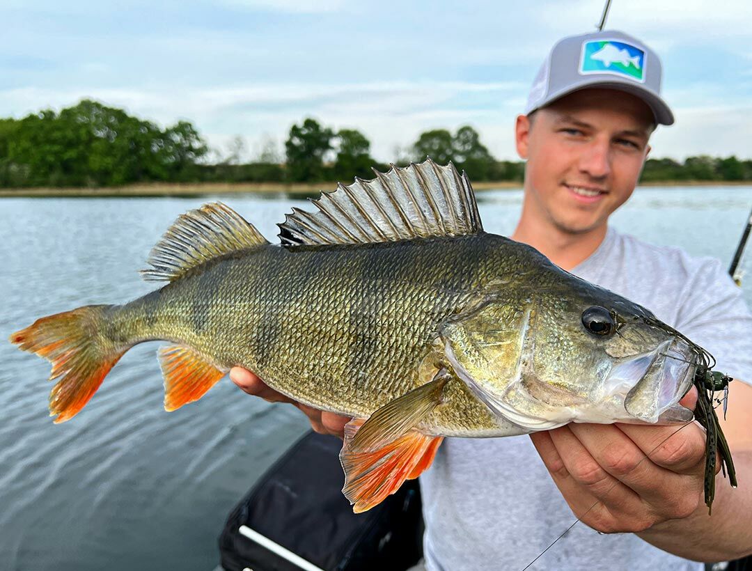 7.0g ChatterBait Mini Max (Z-Man)