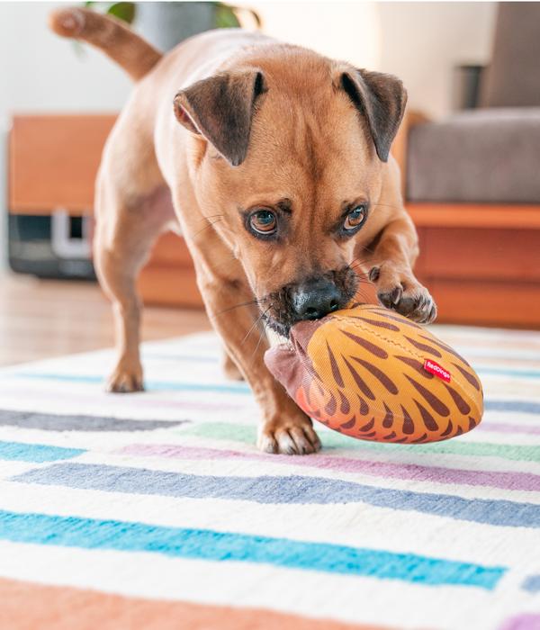 Red Dingo Hundespielzeug DURABLES Toys