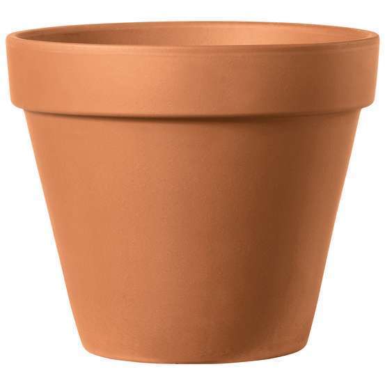 Vase Brut Cotto en terre cuite H.11,3 x D.13,1cm