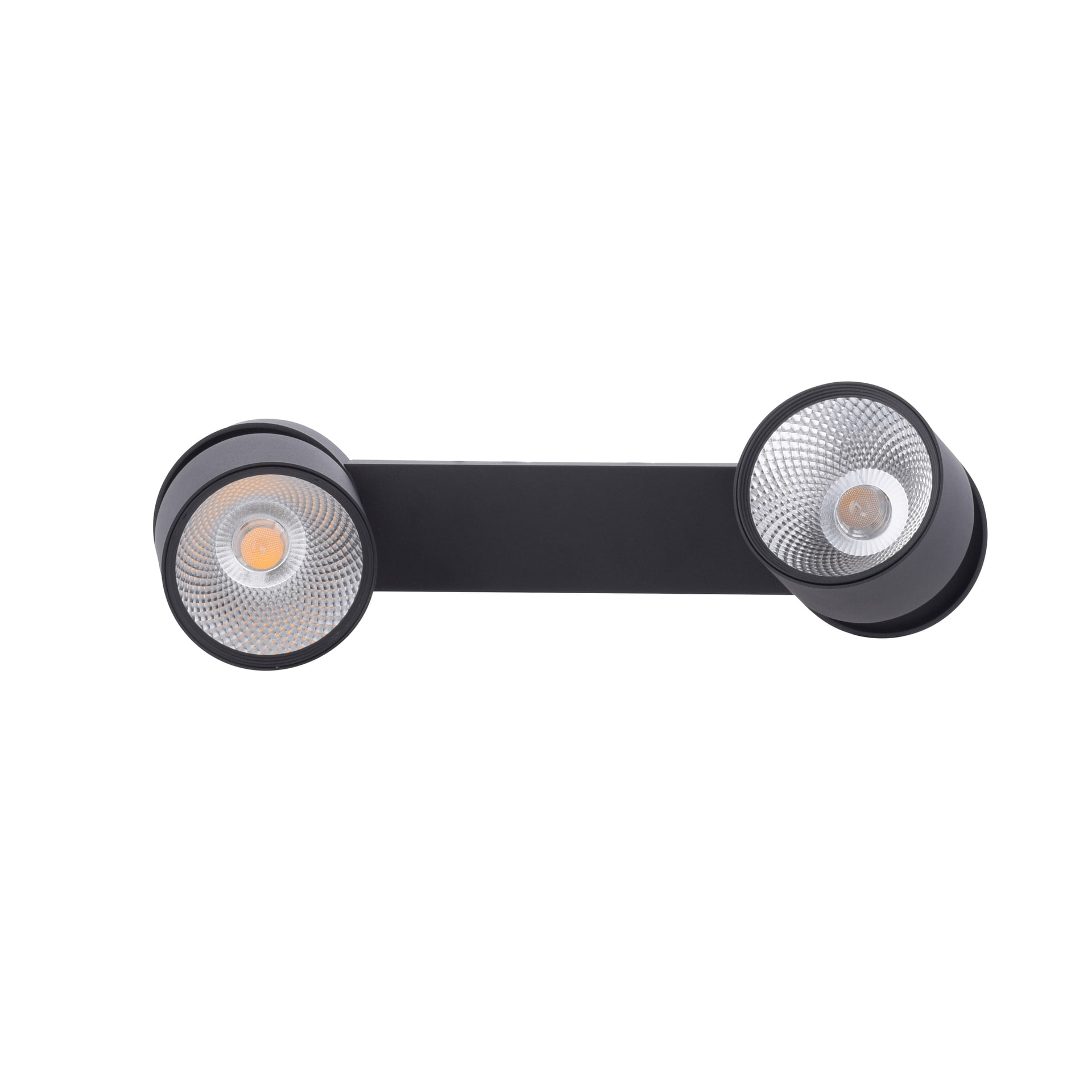 Paul Neuhaus LED Deckenlampe mit 2 Spots PURE-NOLA 49 cm schwarz