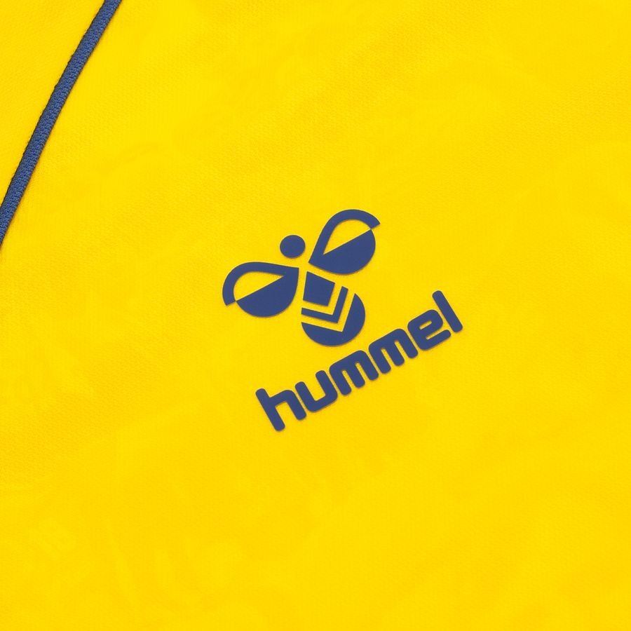 Brøndby IF Maillot Domicile 2024/25 Manches Longues