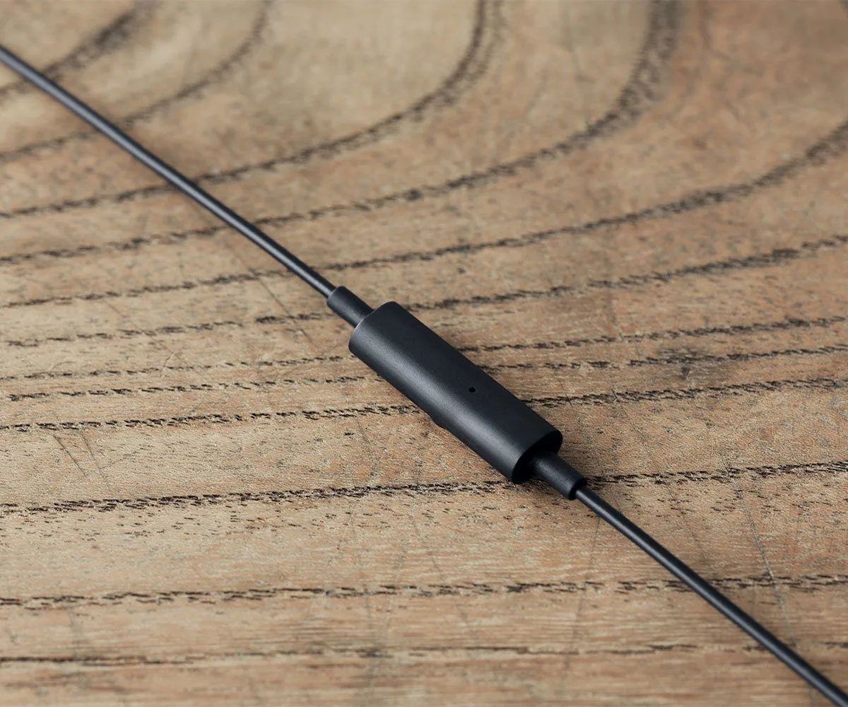 Final E3000C Micro Noir Écouteurs intra-auriculaires