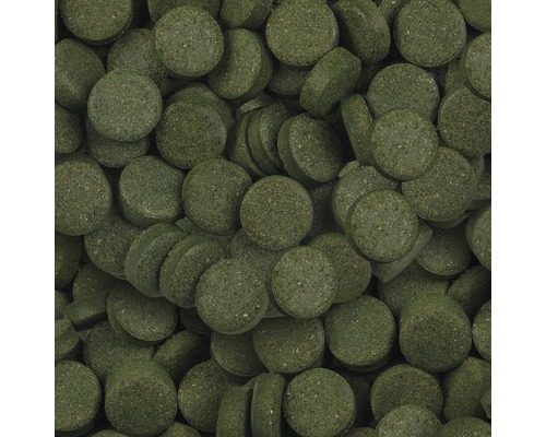 Sera Spirulina Tabletten (24 tabletten)