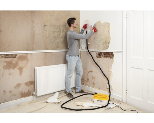 Steam Force behangafstomer