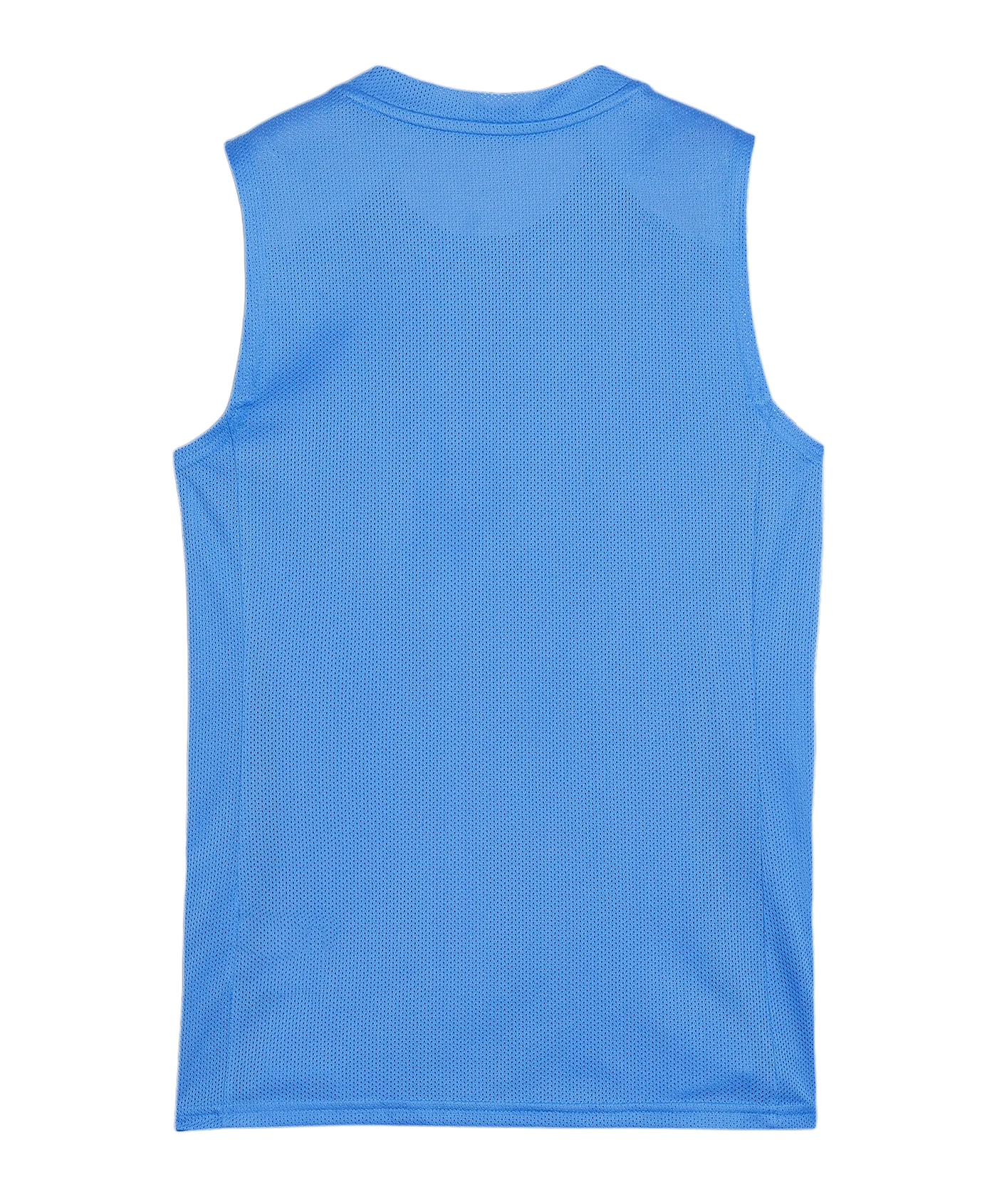 PUMA teamGOAL Tanktop Damen Blau Weiss F02