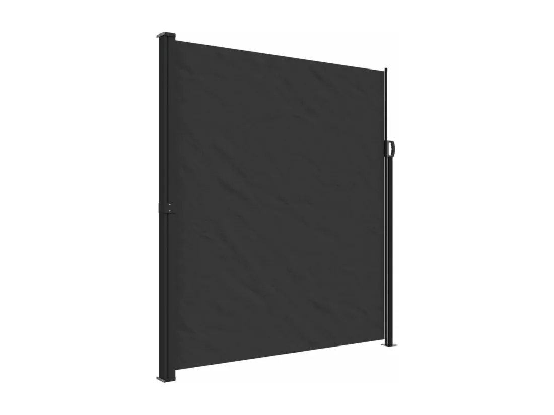 Auvent latéral rétractable noir 220x300 cm