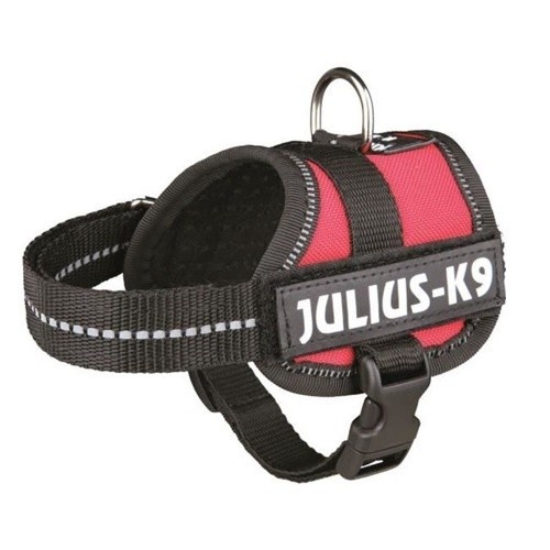 Coleira de Reforço Vermelha Julius K-9 para Cães