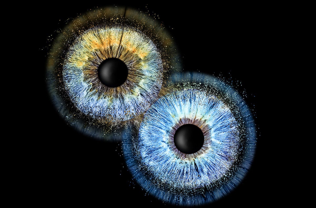 Iris Fotografie Fusion für 2 Haßfurt
