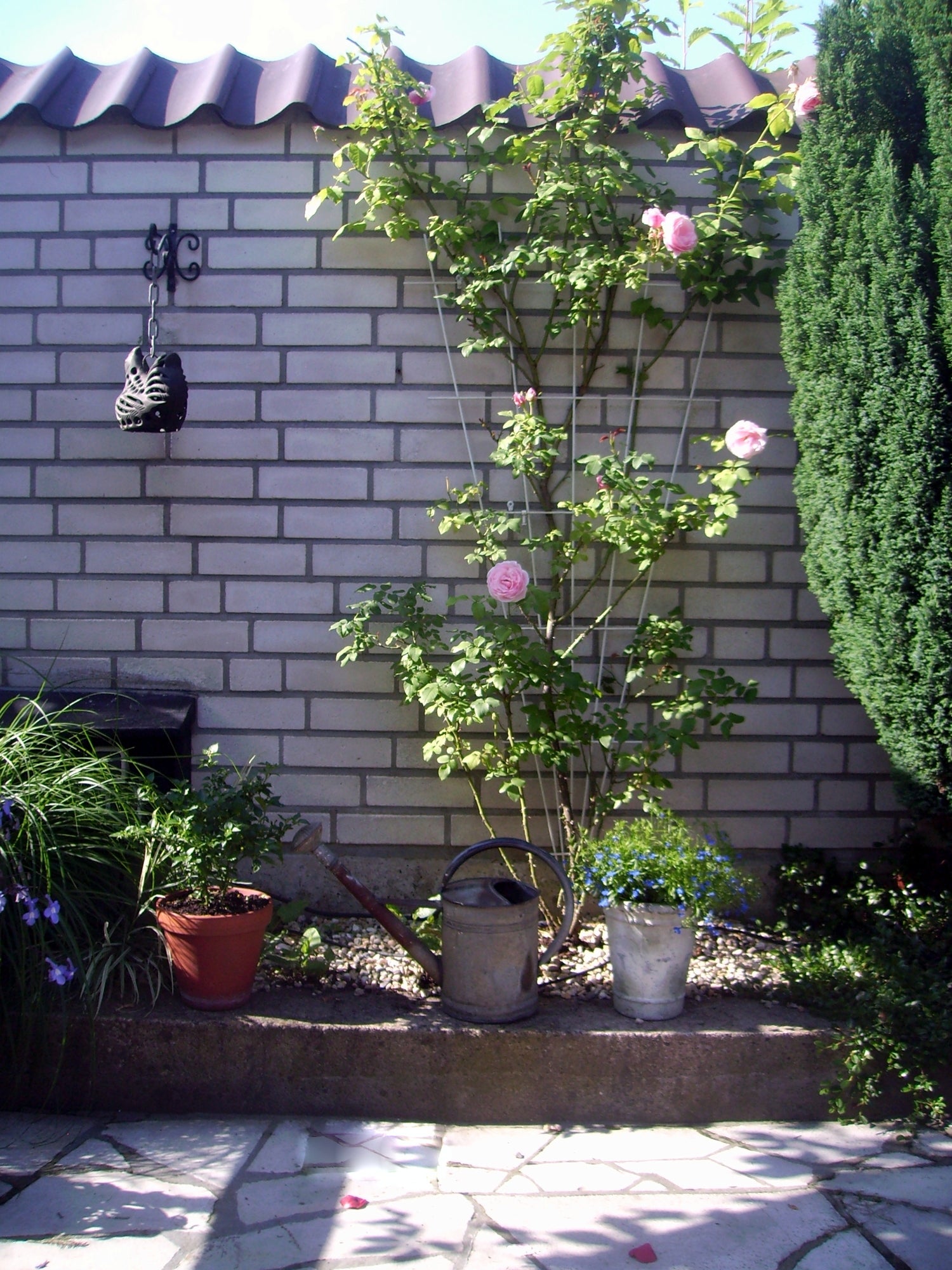 Nature metalen klimrek V-vorm 150x5/75cm groen