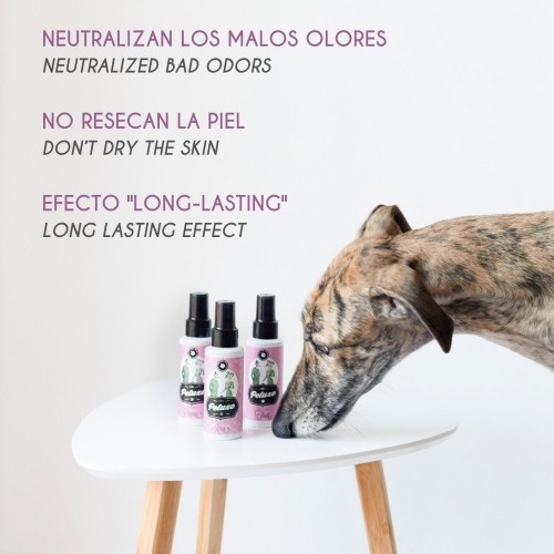 Petuxe, perfume sofisticado para animais de estimação femininos.