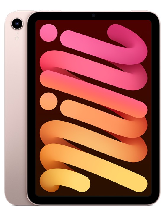 iPad mini 6 (2021) | 8.3
