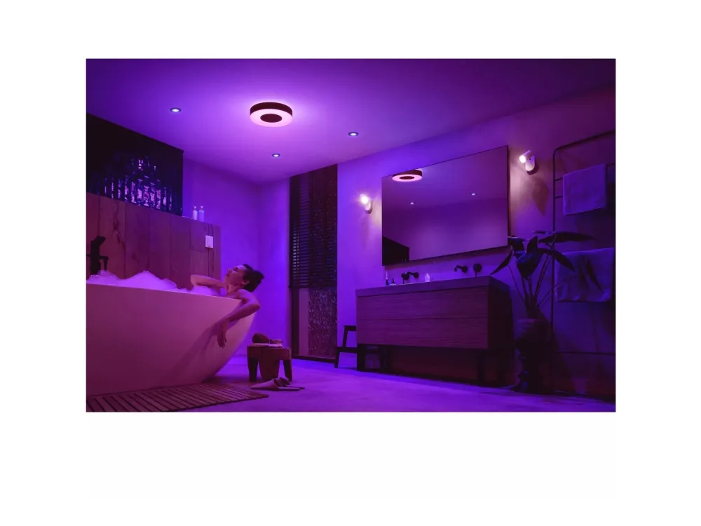 Philips Hue White and Color Ambiance Xamento - Mellemstor loftslampe til badeværelse - Sort