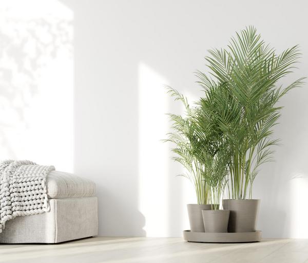 Ecopots Kunststoff-Topf-Set Dubai mit