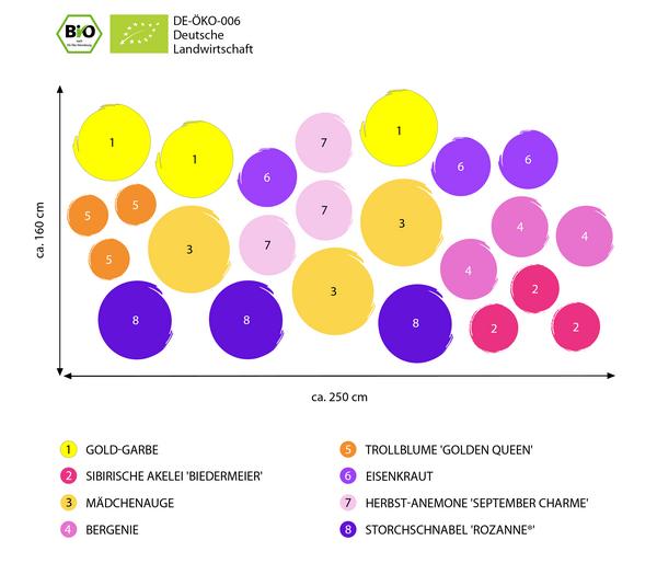 Bio Stauden-Set Es wird durchgeblüht,