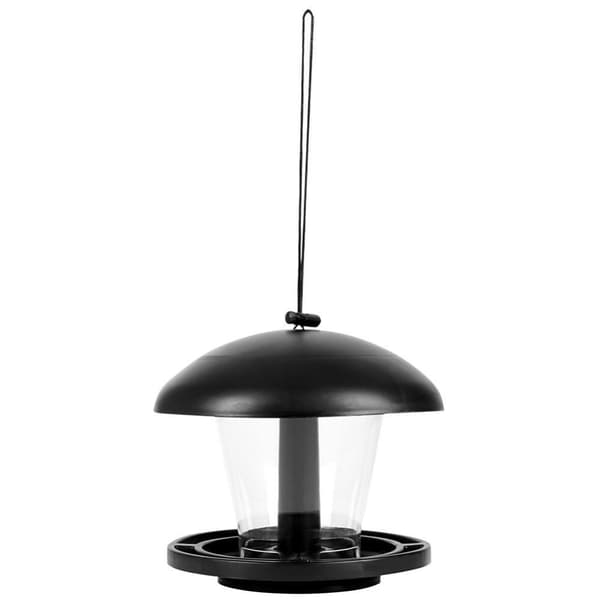 Seed Bird Feeder - Tiltrekk småfugler hele året