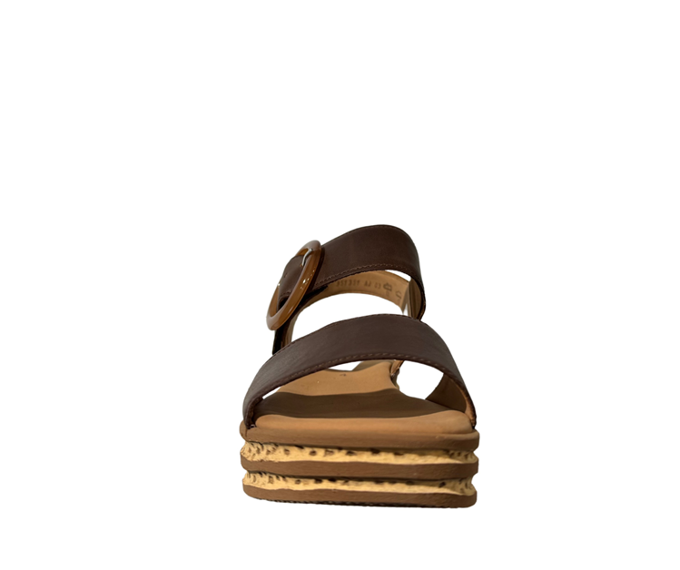 Gabor 64.550 peanut (so.cogn.)