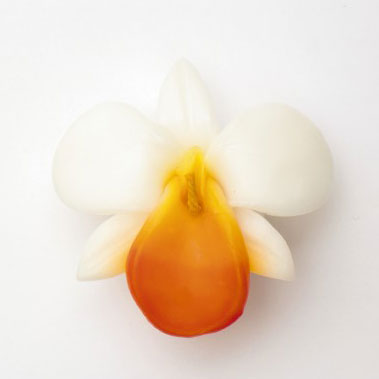 Schwimmkerze 'Orchidee', weiß, multicolor, Ø 8 cm von fischer's lagerhaus