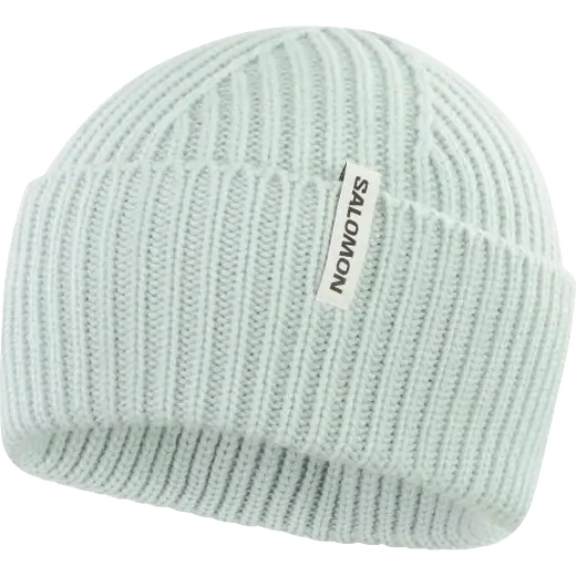 Salomon Reversible Beanie | SkatePro