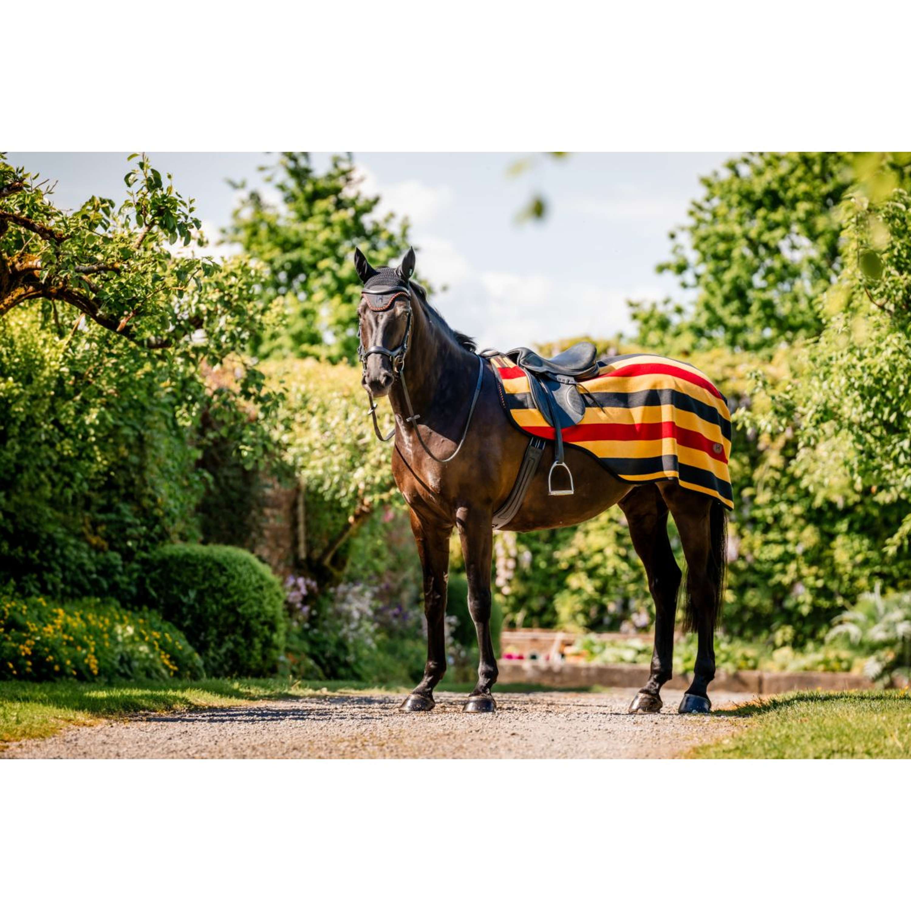 Horseware Uitrijdeken Newmarket Witney Gold