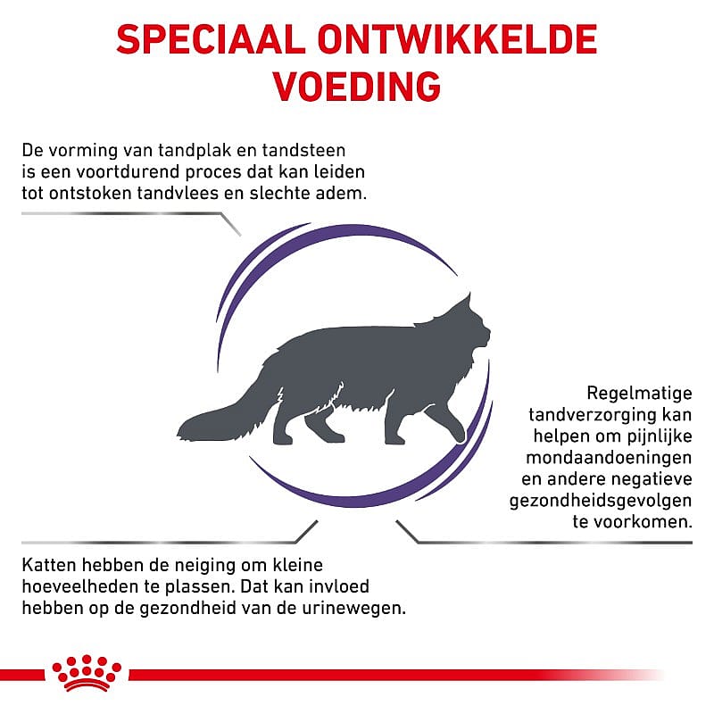 Royal Canin Dental Diet kat Kattenvoer voor een gezond gebit van volwassen katten