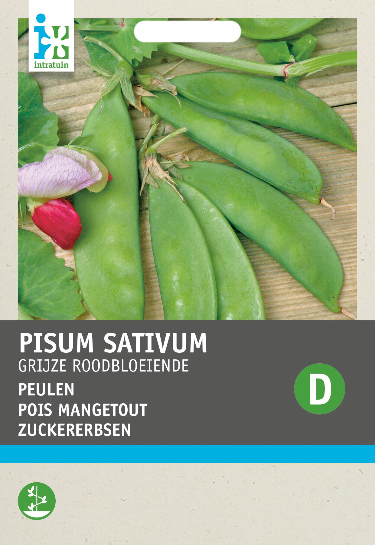Intratuin groentezaad Peulen (Pisum sativum 'Grijze Roodbloeiende')