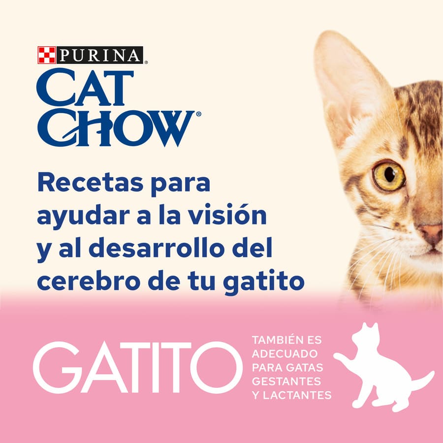 Ração Cat Chow de Peru em Gelatina para gatinhos