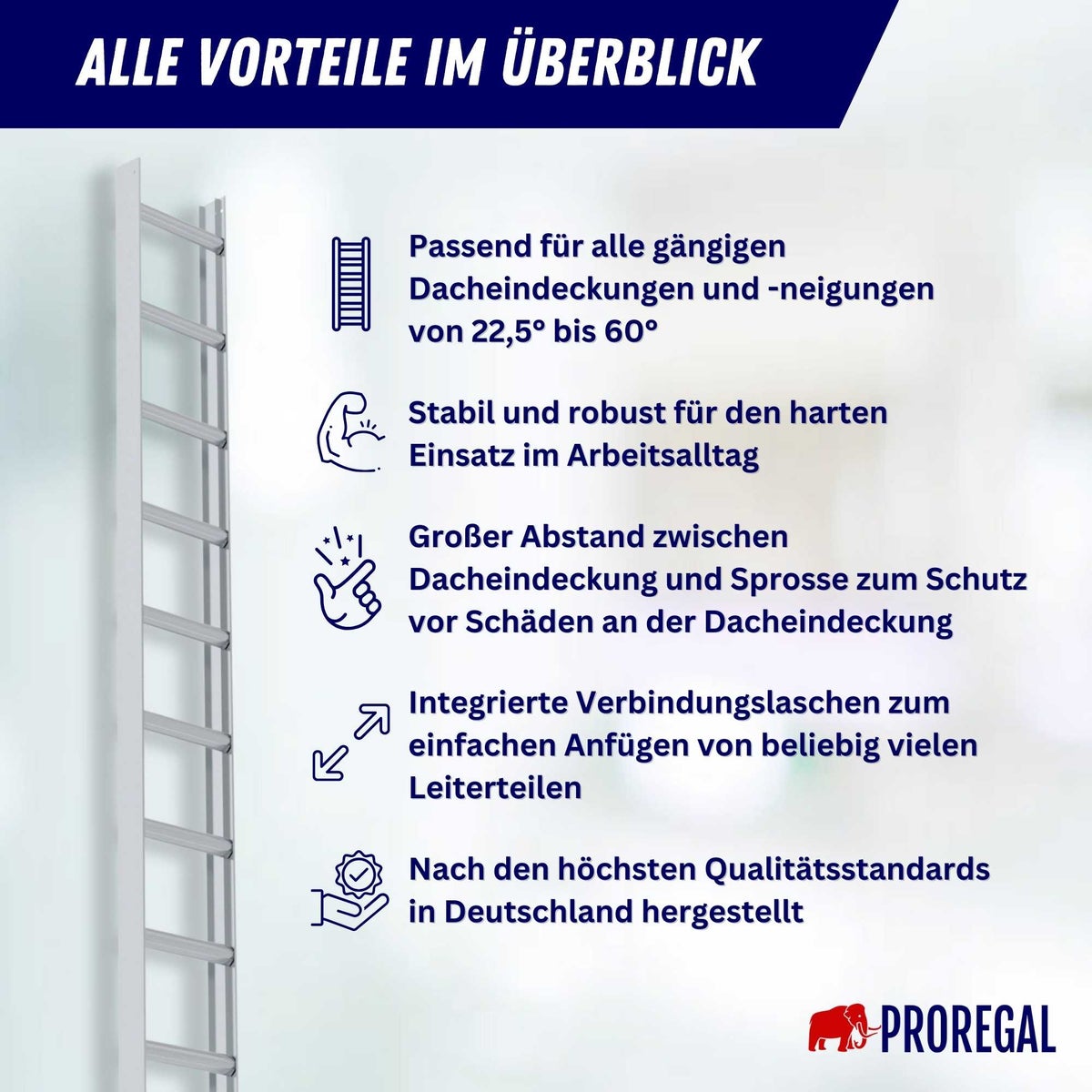 PROREGAL dakladder, roodbruin, 10 sporten