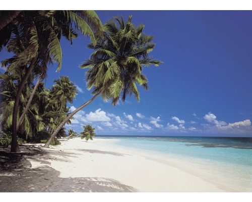 Fotobehangpapier 8-240 Imagine Edition 4 Paper Maldive 8-delige set 388 x 254 cm