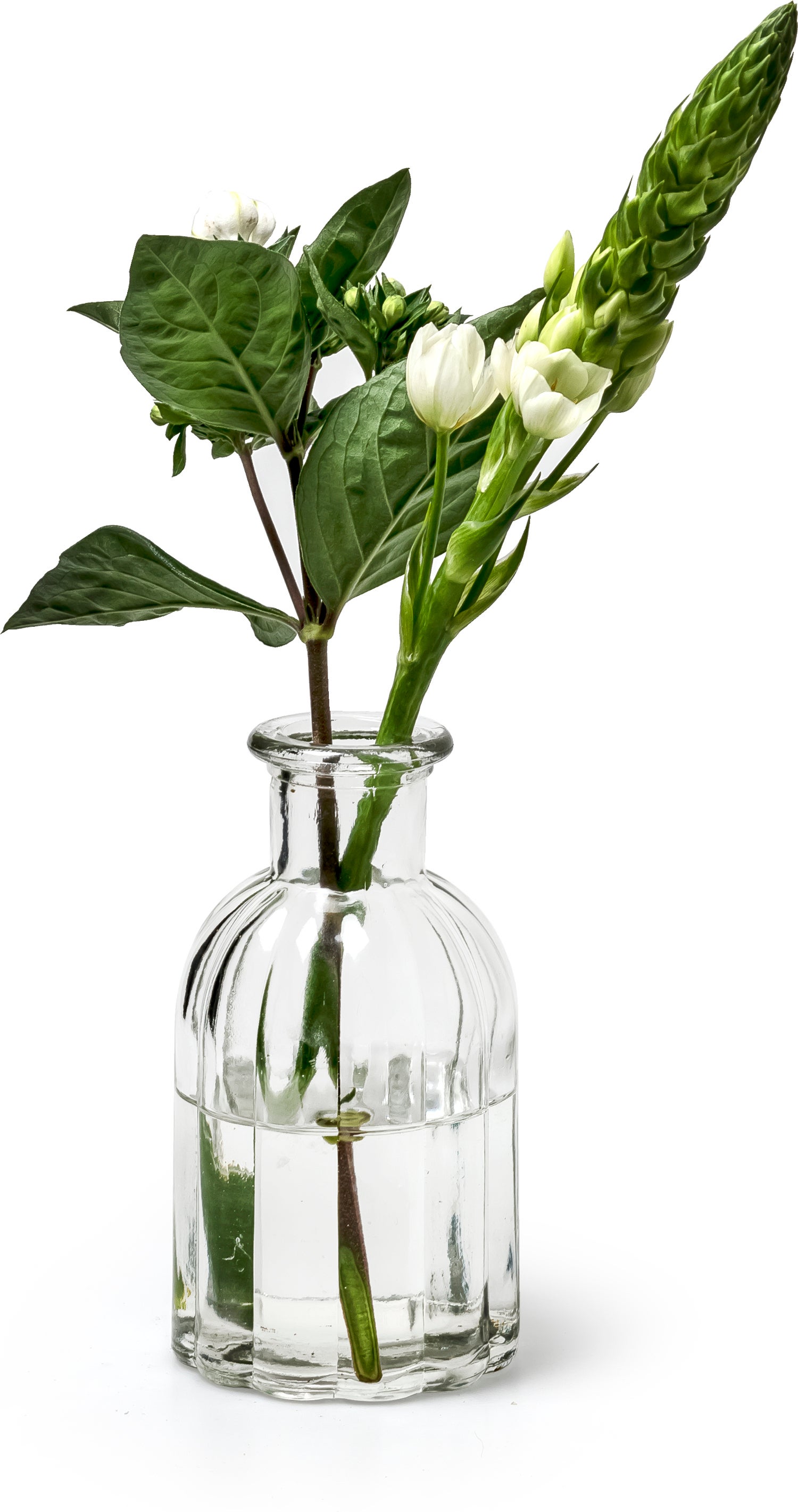 vaas Norinne transparant D 7,5 H 14 cm