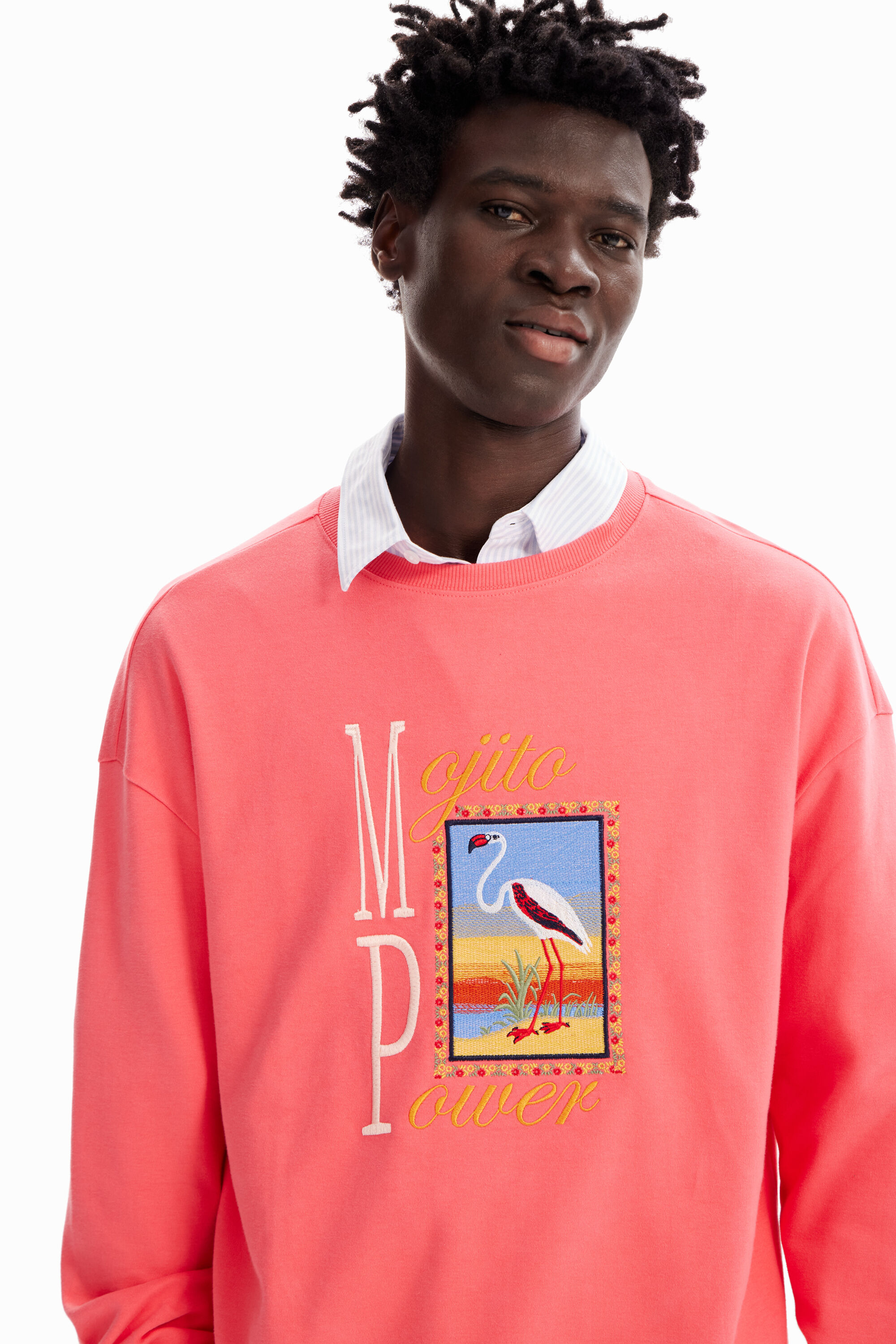 Sweat-shirt broderie flamant
