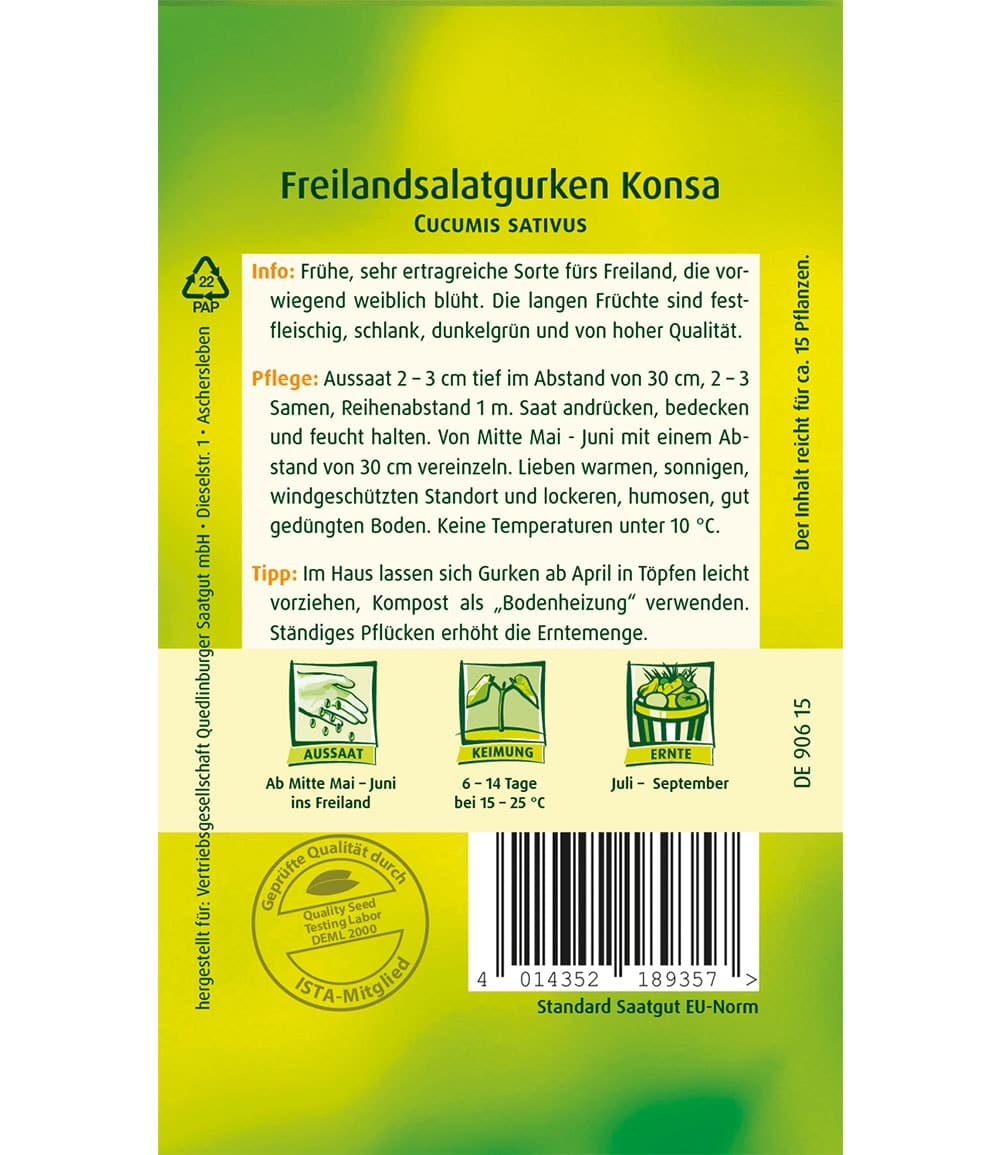 Freiland Salatgurke 'Konsa' F1