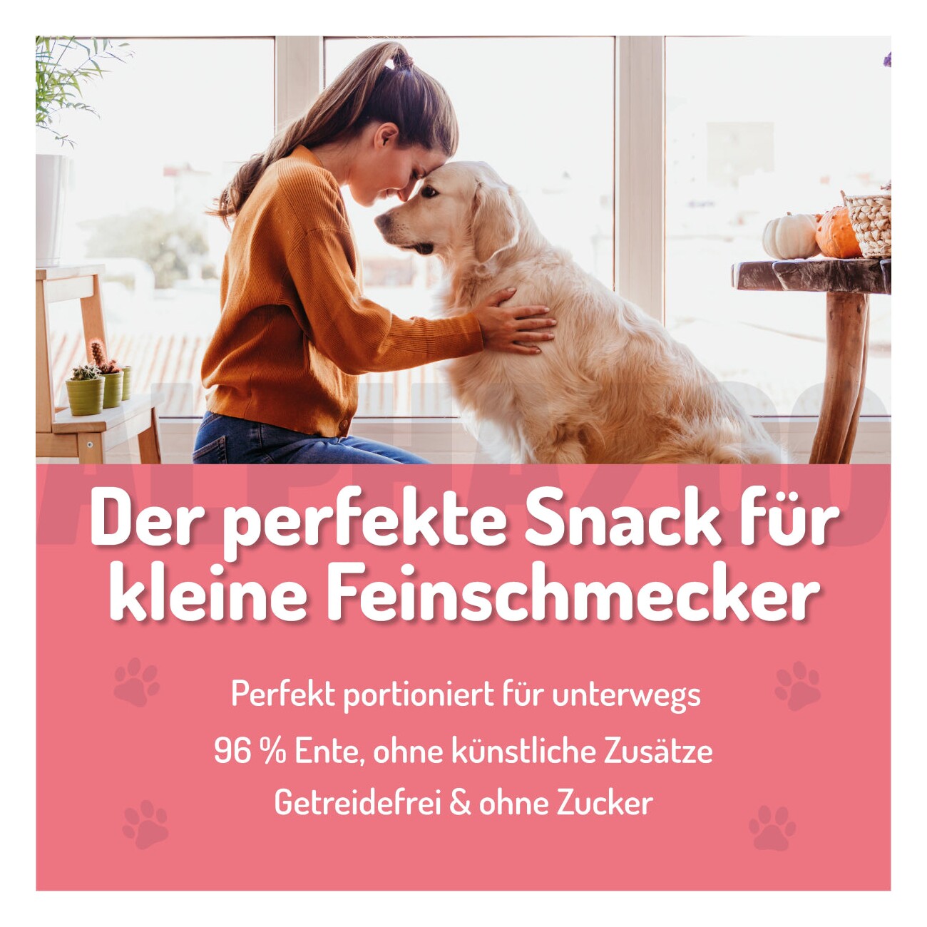 ALPHAZOO Ente Ohne Süß & Sauer 65g I Leckerli für Hunde