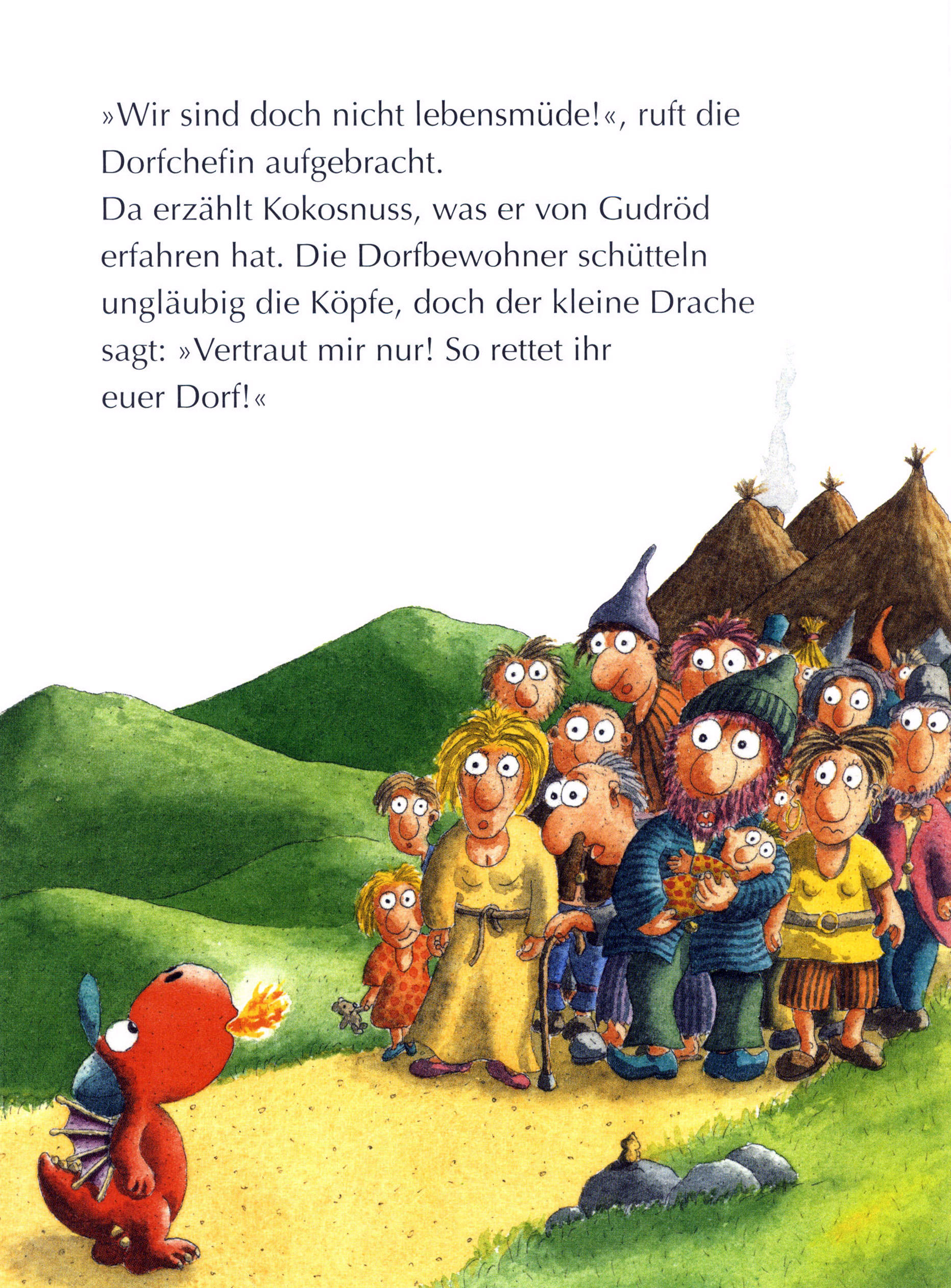 Der kleine Drache Kokosnuss und die starken Wikinger / Die Abenteuer des kleinen Drachen Kokosnuss Bd.14