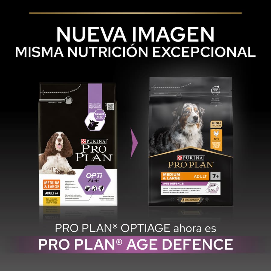 Pro Plan Adult Medium and Large Chicken Senior Dog Food +7