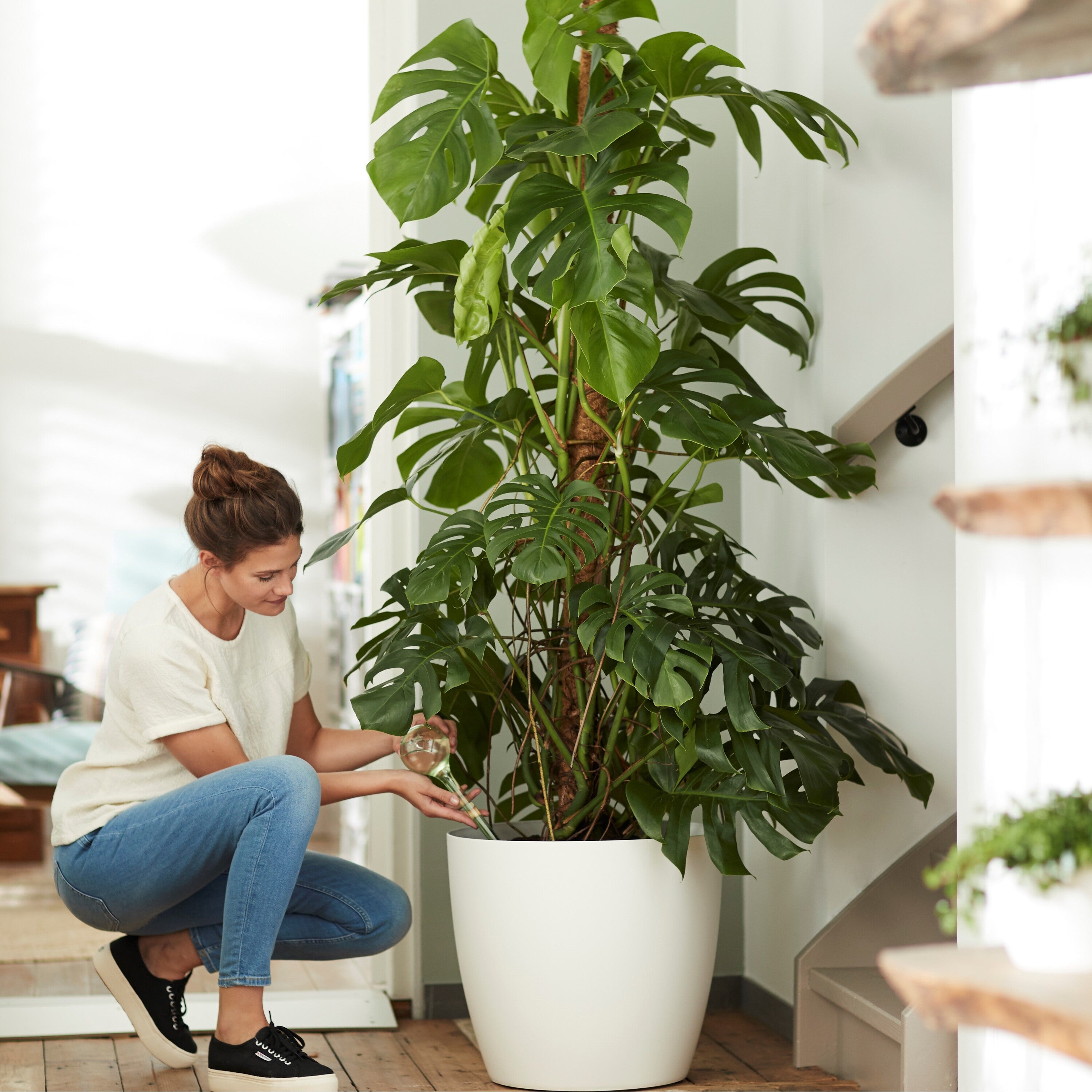 elho Brussels Bloempot op Wielen 47 cm