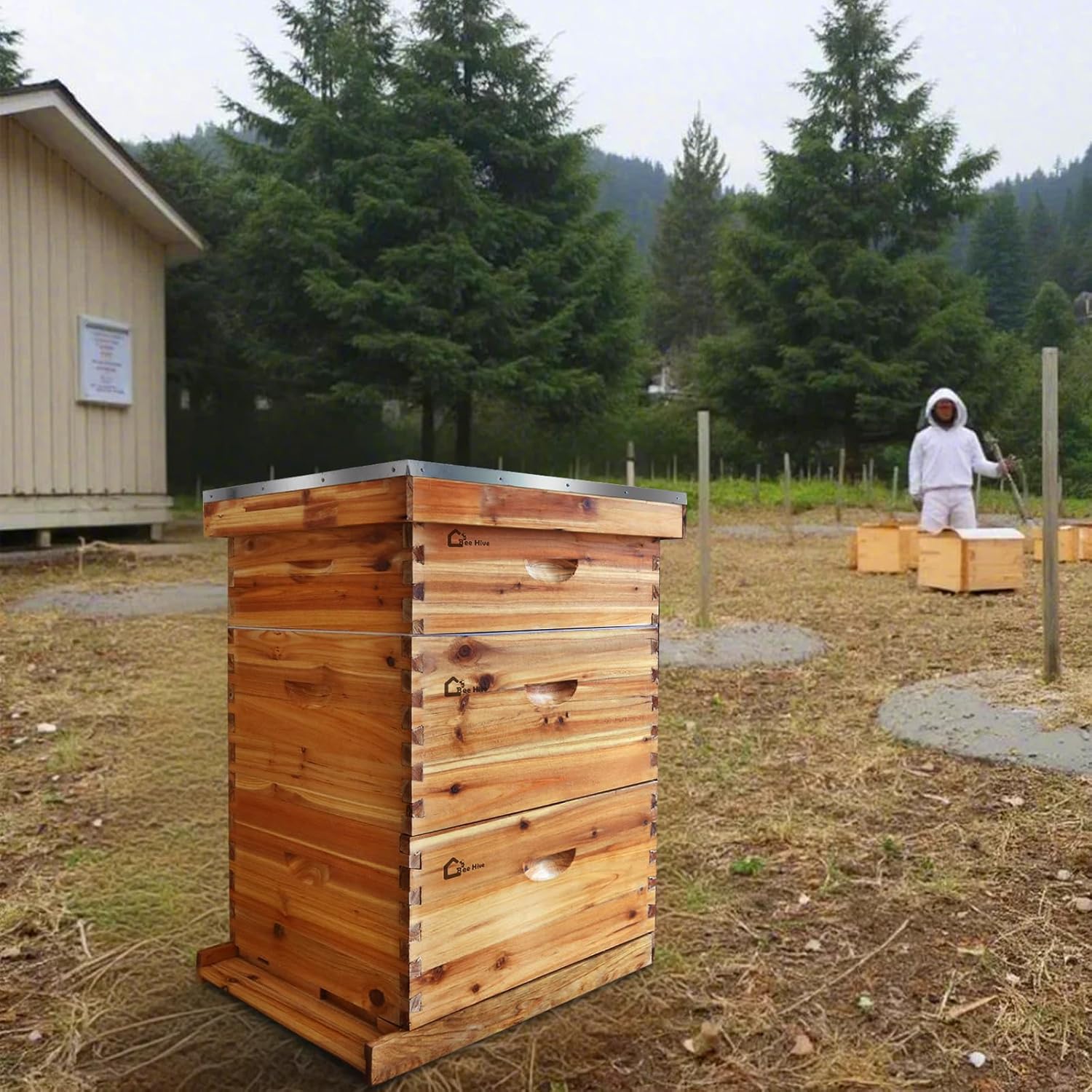 Bienenstock, Zander Beute für 30 Rahmen, 2 Tiefe + 1 Mittelgroßer Bienenhaus, Zedernholz Beute mit 10 Rahmen & Gewachstem Fundament, Bienenhaus Bienenstockkasten Nachhaltig Imkereibedarf