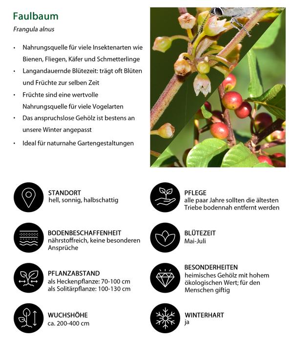 Vogelschutzhecke Drossel, 4-teilig