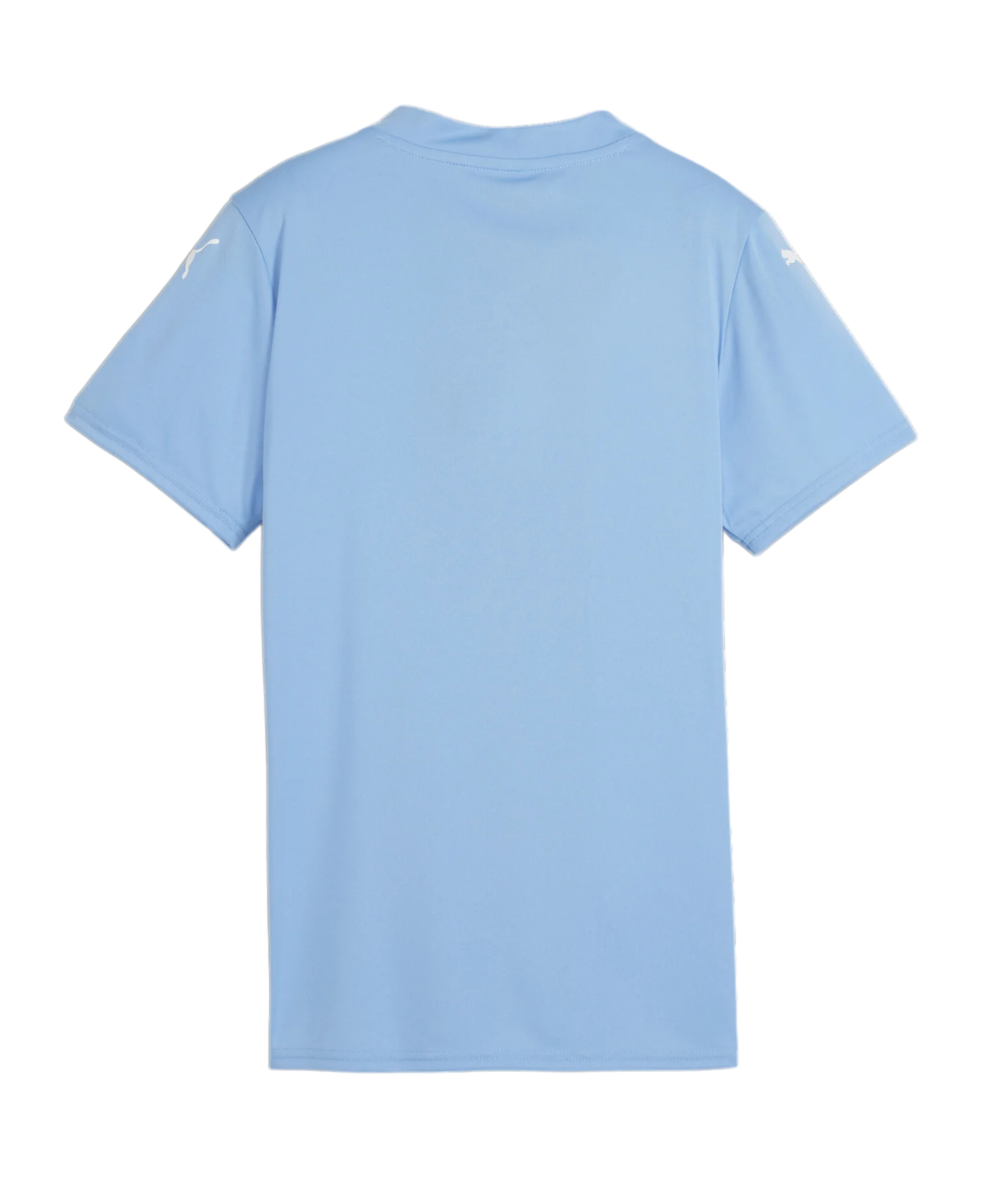 PUMA teamGLORY Trikot Damen Blau Weiss F18
