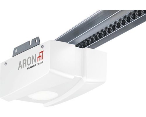 ARON Classic Garagedeur Sectionaaldeur 3000x2125 mm gouden eik incl. garagedeuropener, 2-knops afstandsbediening RSC2