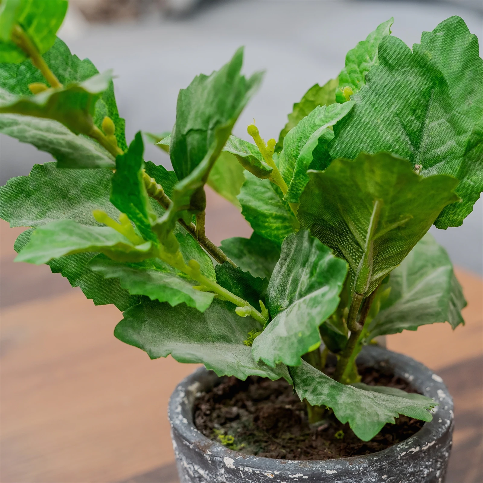 HTI-Living Grünpflanze im Topf Kunstpflanze Flora