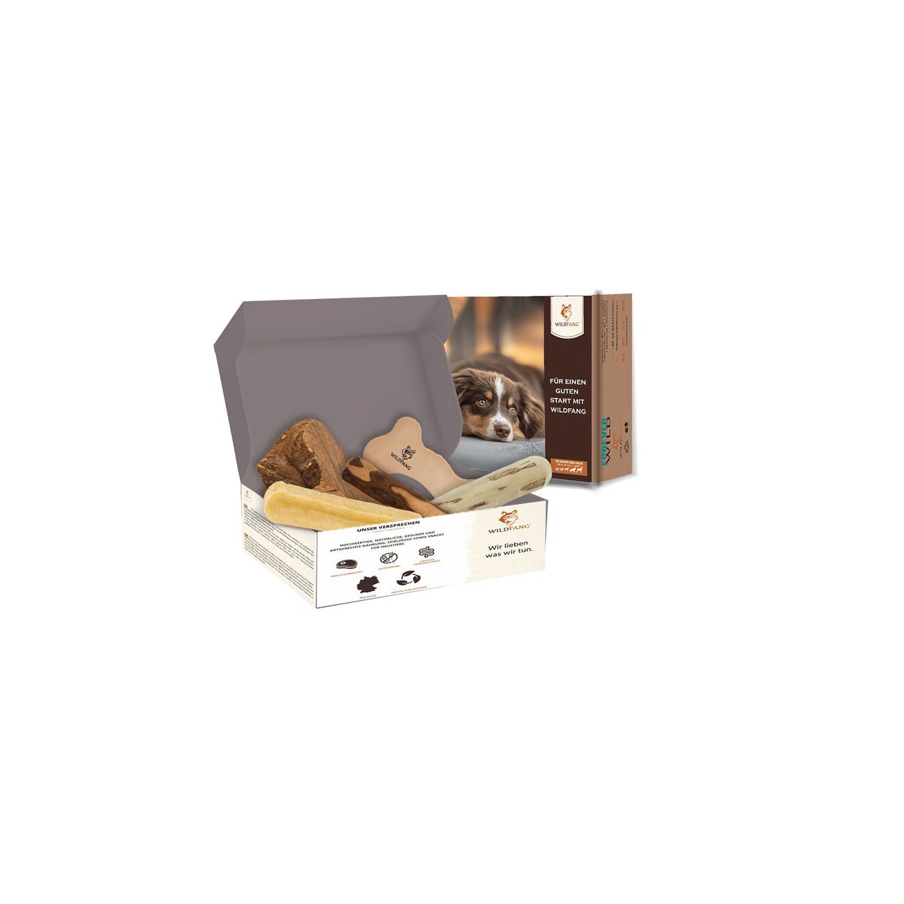 Wildfang ® Kauwurzel / Kauspielzeug Paket Hundebox - Kauspaß S