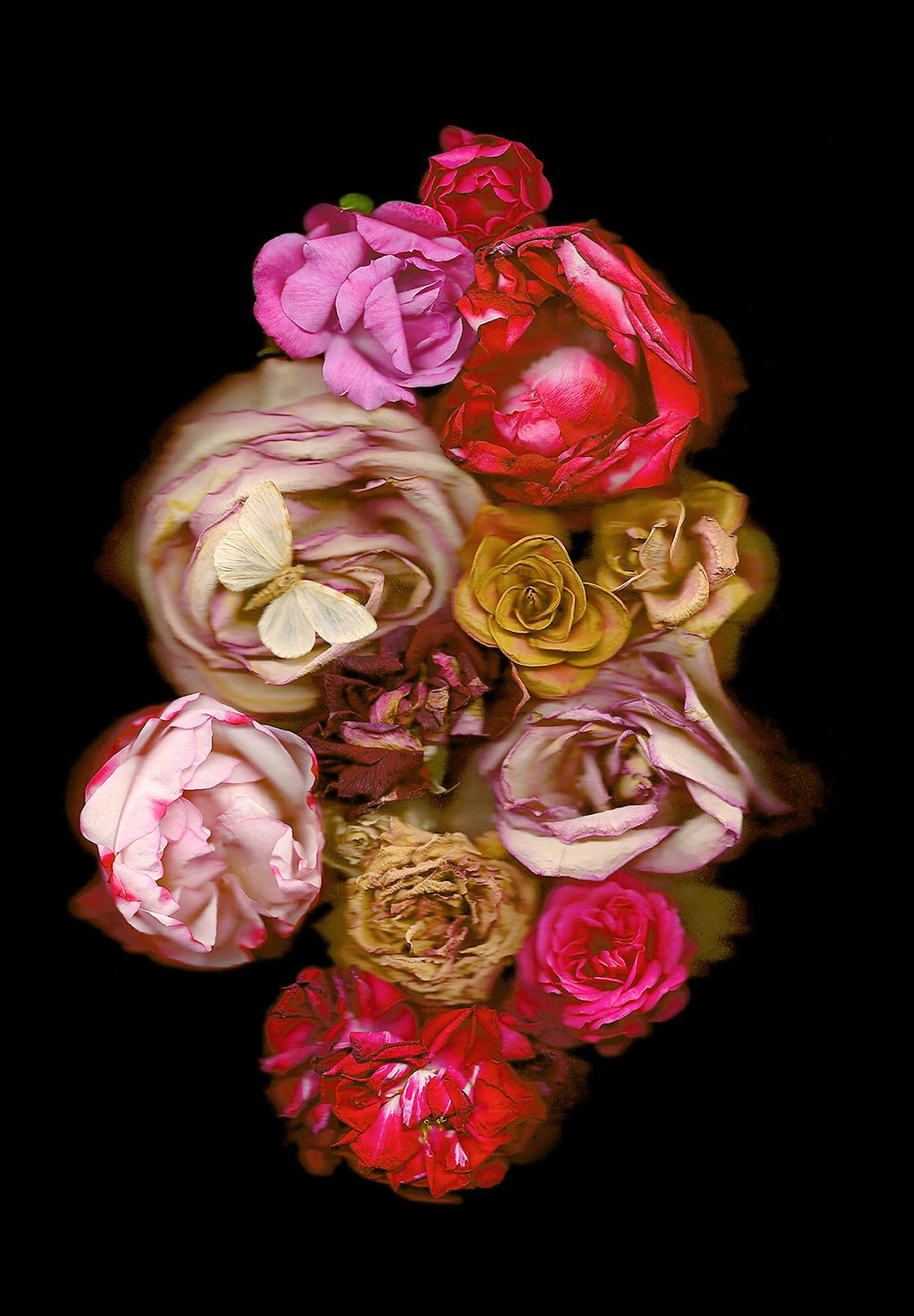 Vanitas XI by Annet van der Voort - Limited Edition. Edition of: 150. Signed.