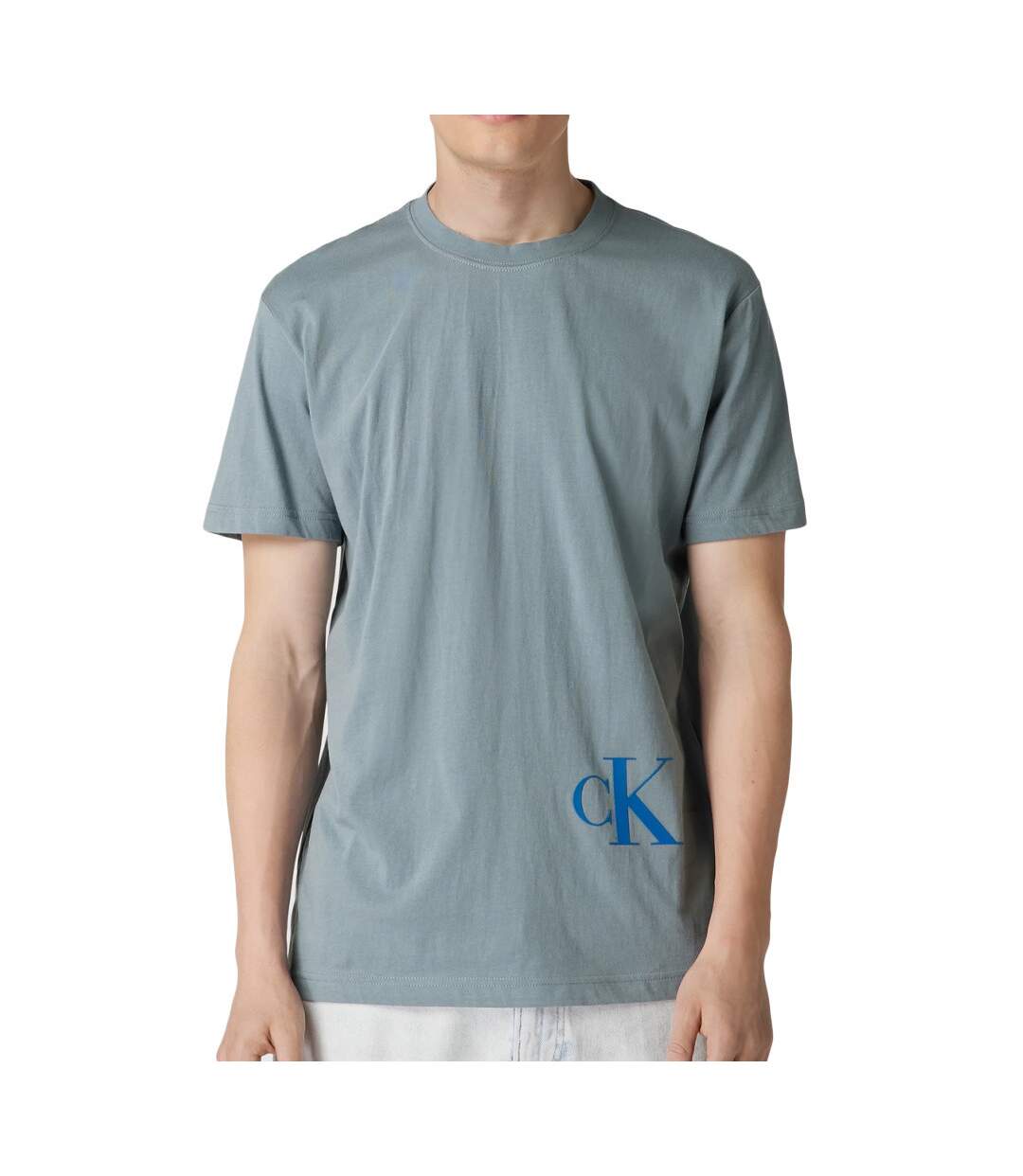 T-shirt Gris Homme Calvin Klein Jeans Color Off Placed
