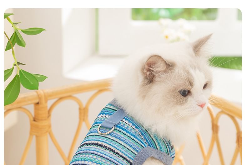 Cissilli - Gestreepte Pet Top