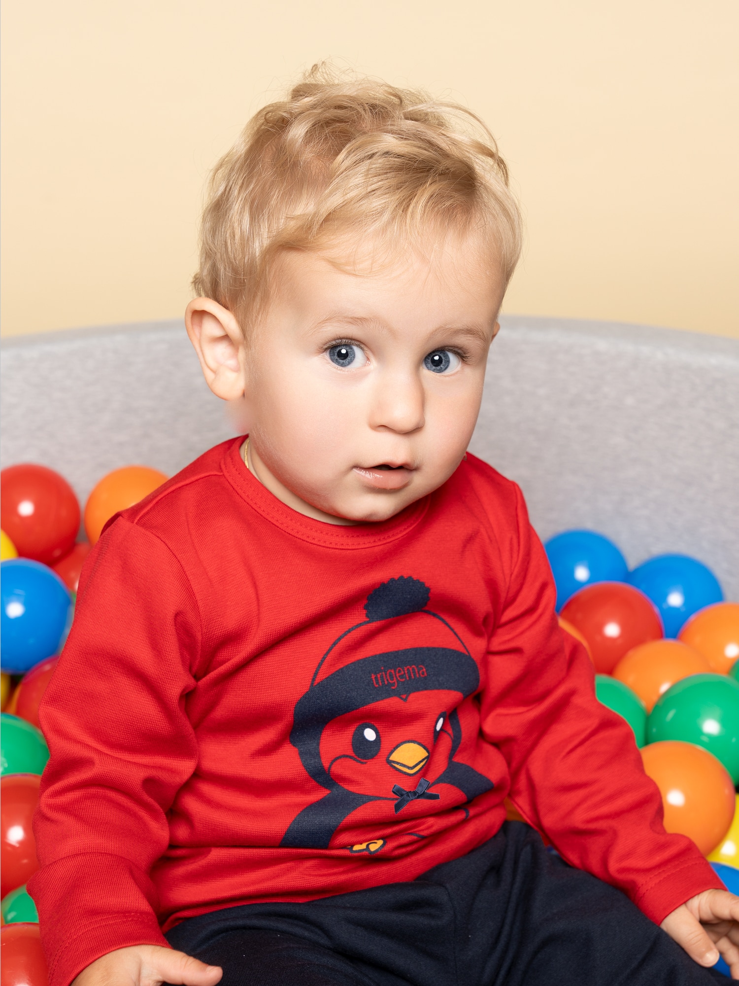 Langarmshirt mit süßem Pinguin-Print Kirsch