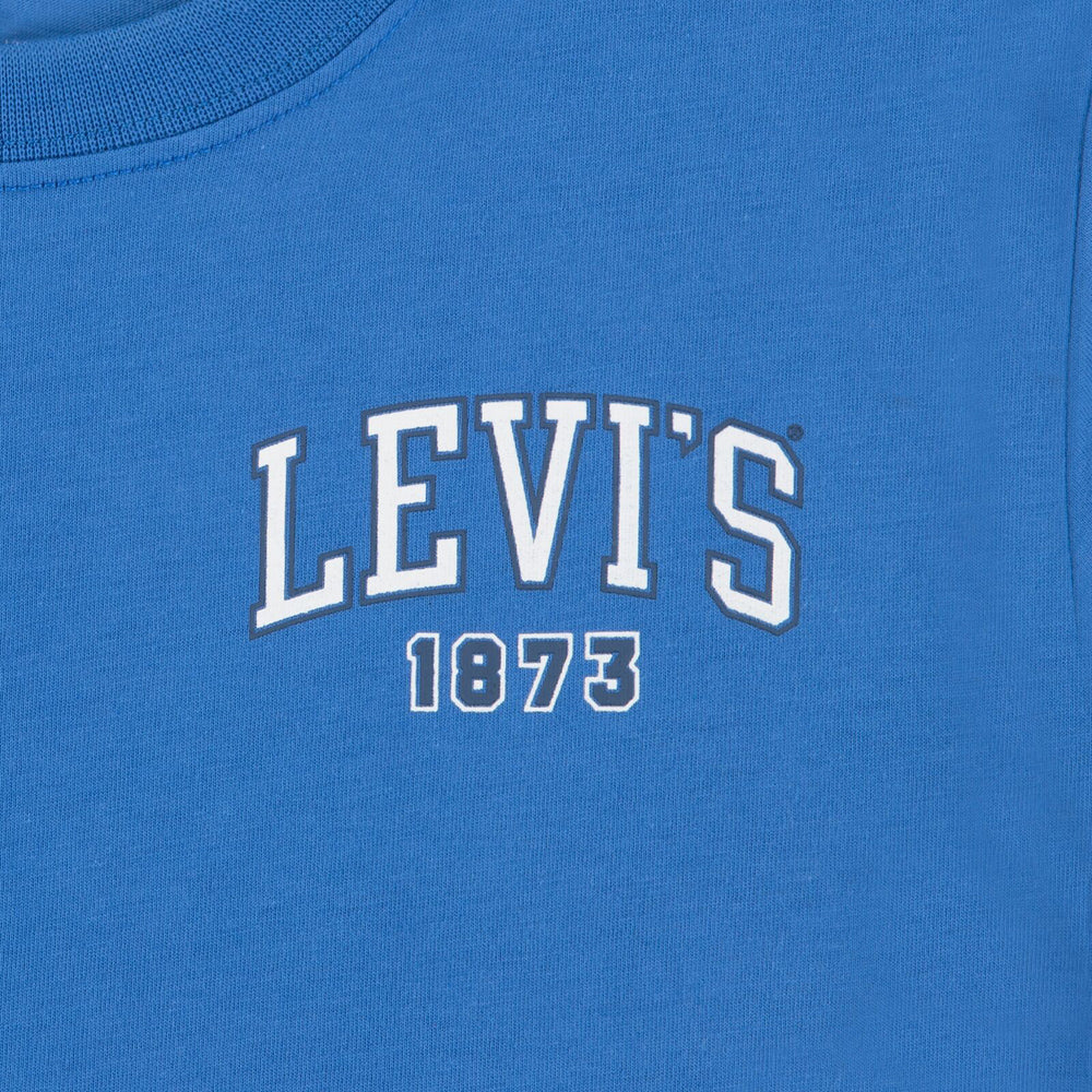 LVB ALWAYS t-shirt