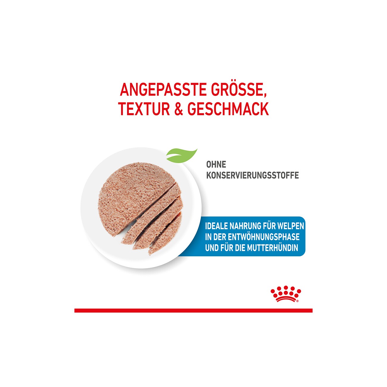 ROYAL CANIN Starter Mother & Babydog Mousse 12x195 g