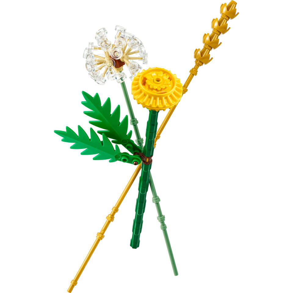 LEGO Botanicals veldbloemen 30701